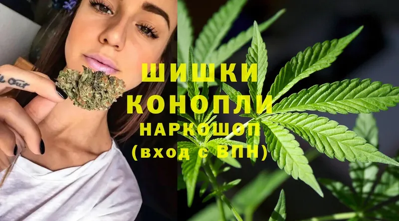 кракен как войти  Новосиль  Марихуана Bruce Banner 